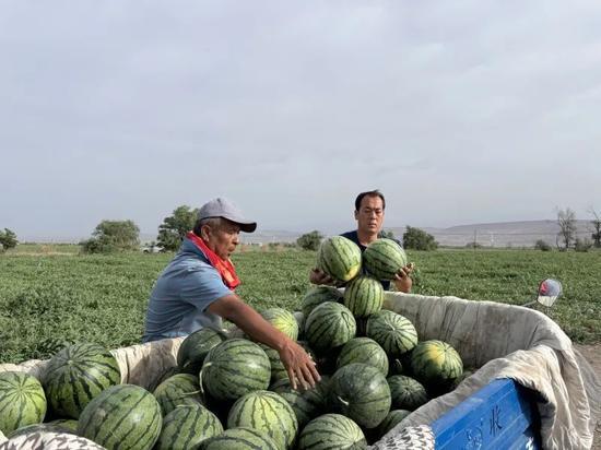 红馆吃瓜,揭秘娱乐圈的“吃瓜”盛宴