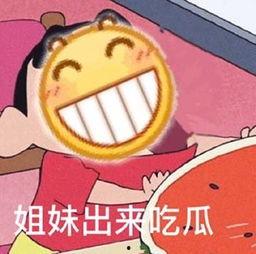 吃瓜姐妹文字,一场场热议背后的真相与趣味