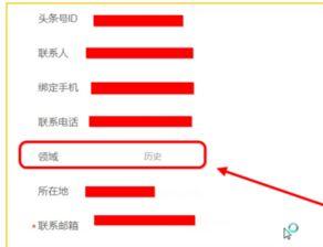 头条号国际领域网名,网名“领域网”洞察全球动态