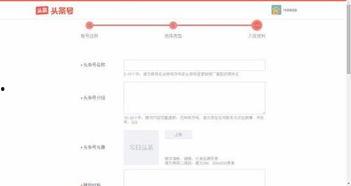 头条辅助材料怎么写,打造高质量文章的秘诀