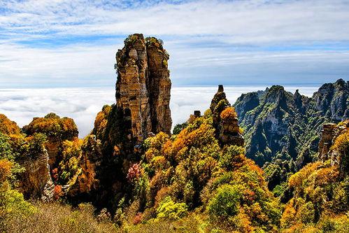 东莞市白石山新闻头条,助力生态保护与旅游发展