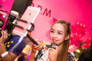 网红歌可以放慢吗,时光流转中的旋律新篇章