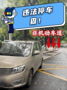 收车的网红,揭秘收车界的新星传奇