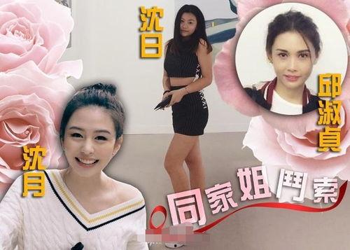 红娘沈姐头条,揭秘现代婚恋市场的秘密与智慧