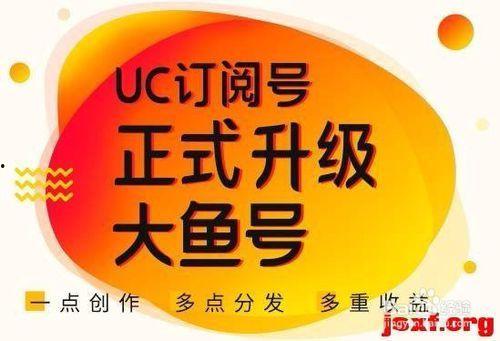 云参观今日头条,今日头条带你云参观新媒体矩阵魅力
