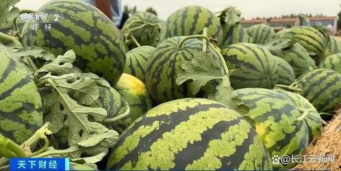 最新最全吃瓜解说无码,盘点那些鲜为人知的幕后故事