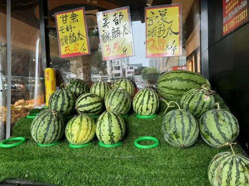 吃货吃无籽麒麟瓜,吃货们的夏日美味新宠