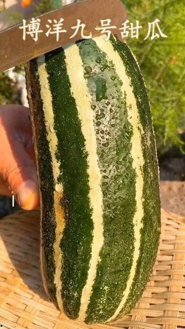 我吃瓜了吃的什么瓜
