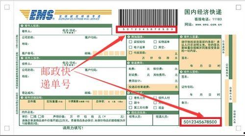 头条小店中的快递单号,揭秘您的包裹行踪，一键查询快递单号动态”